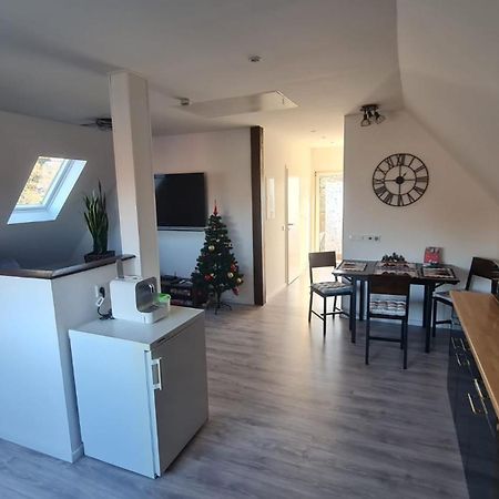Ferienwohnung Richter Pirna Luaran gambar